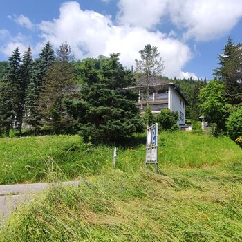 Die Schönheit der österreichischen hor🇦🇹🏔️❤️ Die Schönheit der österreichischen hor🇦🇹🏔️❤️