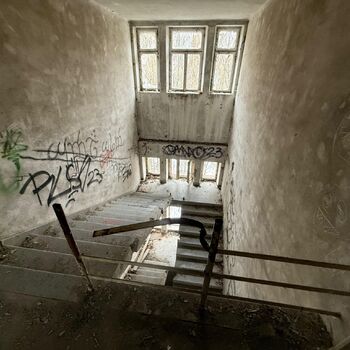 Aunt Omega, or I Believe in Fairies