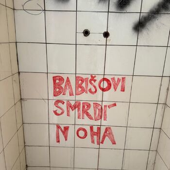 Aunt Omega, or I Believe in Fairies