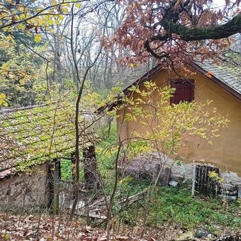 Vechtrovny - Koukni na video..