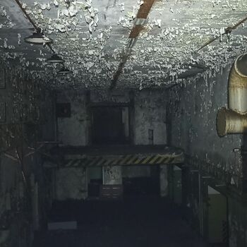 Javor 50 s vojenským prostorem 2021 Javor 50 s vojenským prostorem 2021