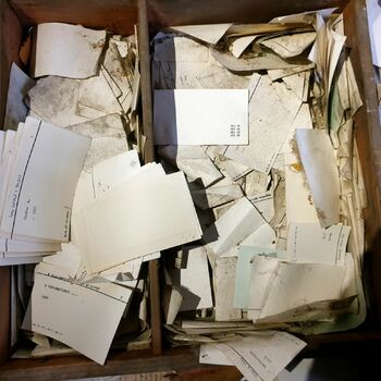 Vězení 2021 Vězení 2021