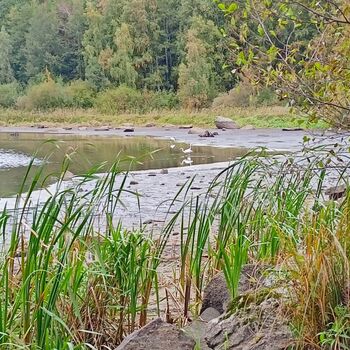 ! a house with HARMON