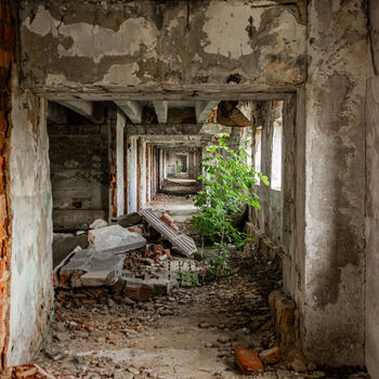 Landwirtschaftliche Fläche