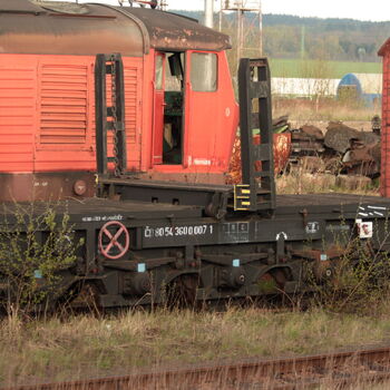 Bardotková Bardotková
