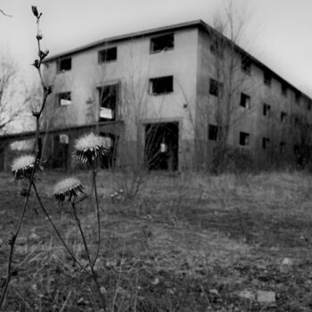 stodola budova zemědělské budovy struktura dům