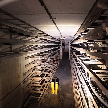 Versicherungsschutz unter dem Sitz der Autofirma Versicherungsschutz unter dem Sitz der Autofirma