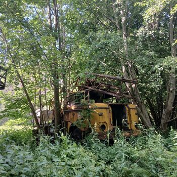Mill in the foothills