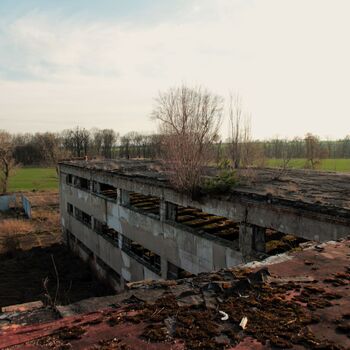 Riesiges Sparschwein