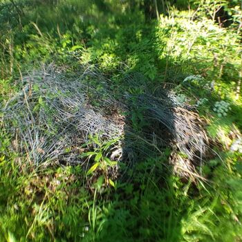 Urbex - 2022 Šumava - Vražedná p......