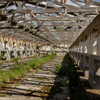 Landwirtschaftliche Fläche