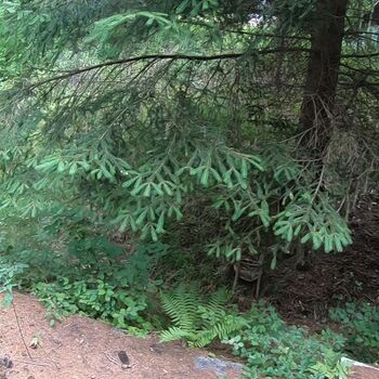 Urbex - Pionýrský tábor J.....  SK