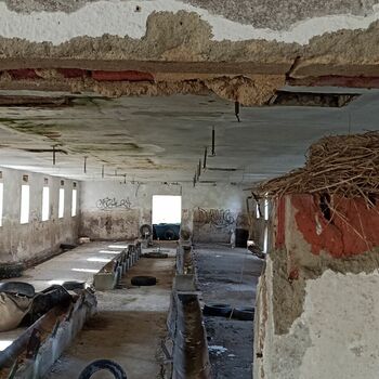 Kravin 2022 Kravin 2022