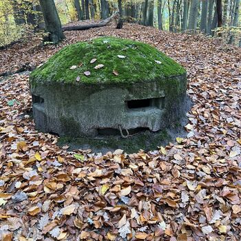 Cannons and bunkers Poland 2025