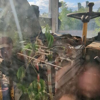 Where the wind goes to sleep