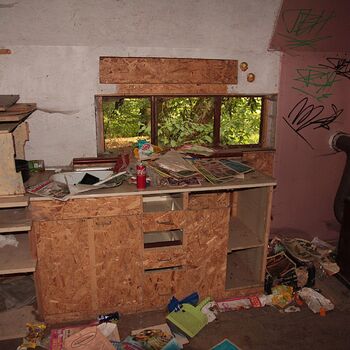 Mill from Snake river