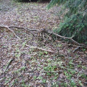 Urbex - Krysi-Schloss 2024