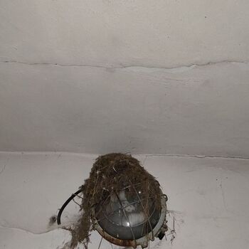 Railway carriages and station building_2024