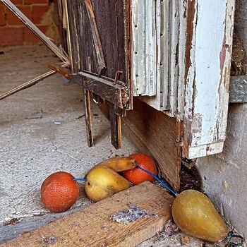 𝕊𝕟𝕖𝕛𝕜𝕪𝕤 𝕌𝕣𝕓𝕖𝕩 aj.