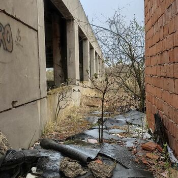 Lederfabrik und State Farm 2022