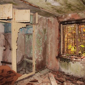 Kyjeváky in der Siedlung Ploužnice 2023