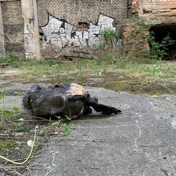 Former power plant Former power plant