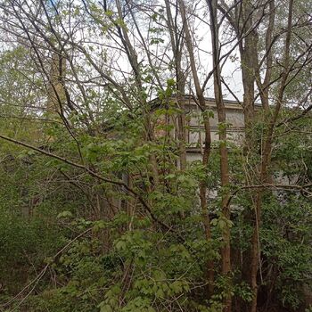 Railway depot in the middle of the "forest" 2024