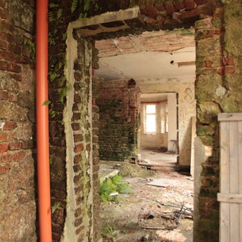 Rieger's Villa Rieger's Villa