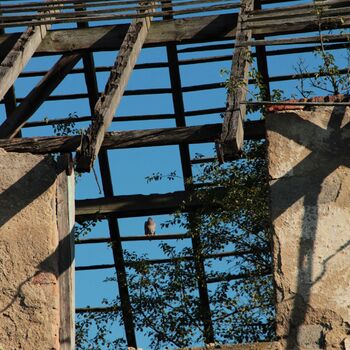 Landwirtschaftliche Fläche mit Hopfentrocknungsanlage 2023