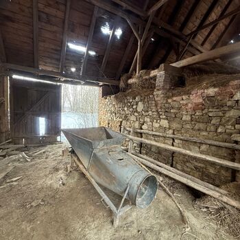 DDT, or the crocodile wasn't home