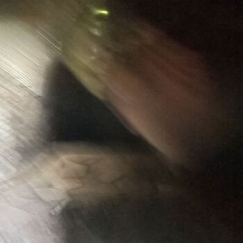 Litomeřické podzemí