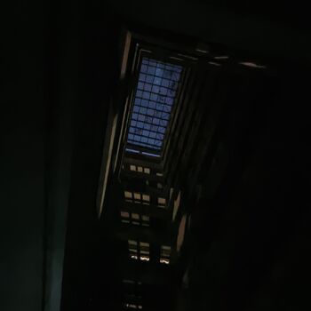 TORZO Radnice Nová Palmovka - Večerní průzkum