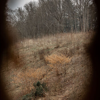 Liazka (if you can't make it across the weir) Liazka (if you can't make it across the weir)