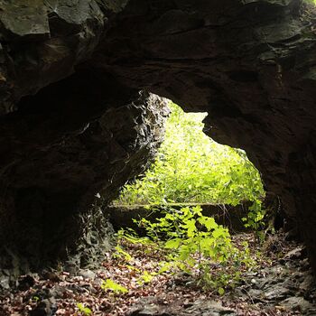 Mill from Snake river