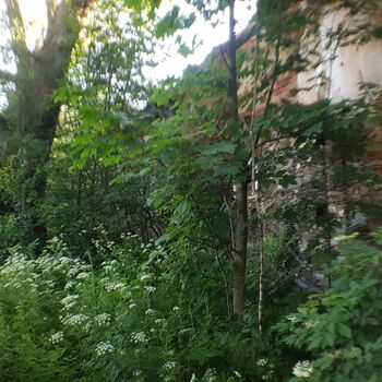 Urbex - 2022 Šumava - Vražedná p......