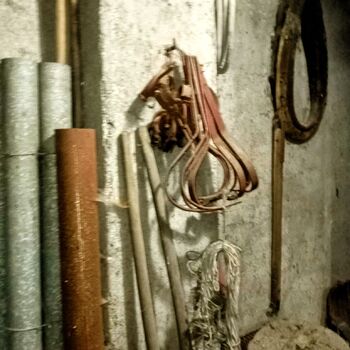 Tichý svědek tvrdého života