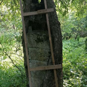 The seat of the exiles The seat of the exiles