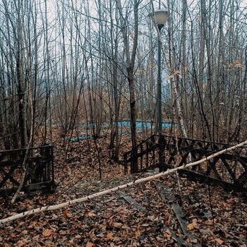 Former recreation centre 🏚️🌲🌲