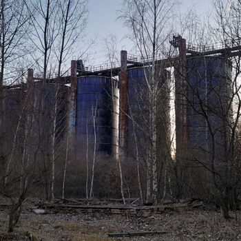 Calf (2025) Calf (2025)