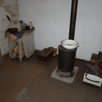 A grove in the borderlands.