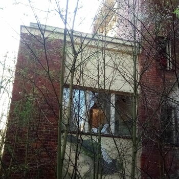 Les strom plot stromy zima krajina