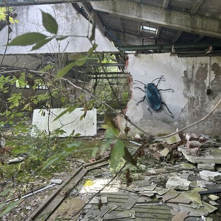 Zahradnictví 🪴 Zahradnictví 🪴