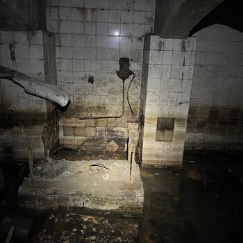 Krematorium Deutschland 2022