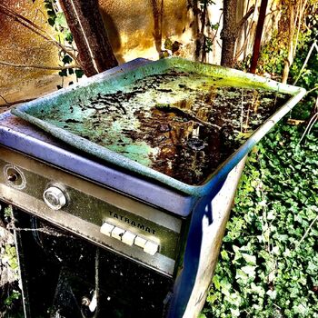 A very personal matter