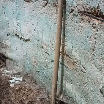 Panský dvůr 2023 Panský dvůr 2023