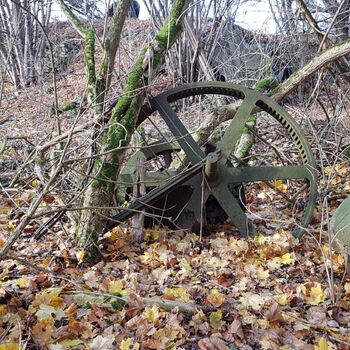 Urbex - Mühle bei V.......🐺🐺🐺🐺🐺🐺 Urbex - Mühle bei V.......🐺🐺🐺🐺🐺🐺