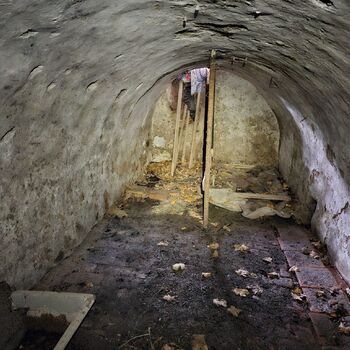 Das Haus beim Plüschtier.