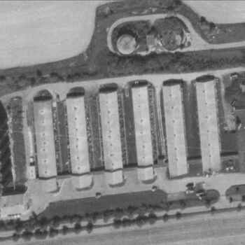 Calf (2025) Calf (2025)