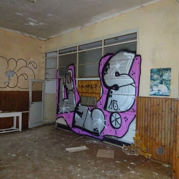 Abandoned children's sanatorium
