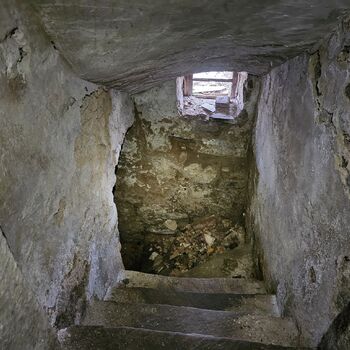 Das Haus beim Plüschtier.